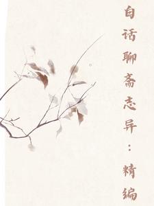 白话聊斋的内容